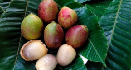 Kaya Nutrisi, Ini Manfaat Buah Matoa untuk Ibu Hamil