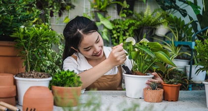 3 Langkah Membuat Taman Kecil di Rumah Anda