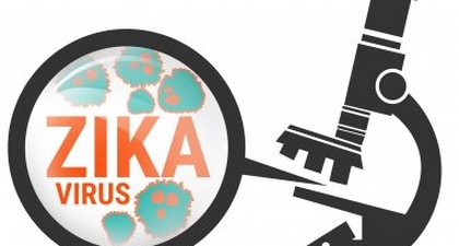 Infeksi Zika Kini Ada Obatnya?