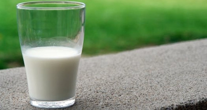 Manfaat Minum Susu Setiap Hari bagi Kesehatan Si Kecil
