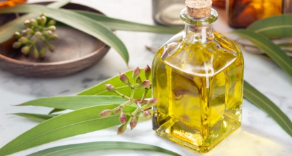 Benarkah Eucalyptus Ampuh Membunuh Virus Corona?