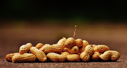 Rekomendasi Terbaru: Kenalkan Kacang Sejak Bayi