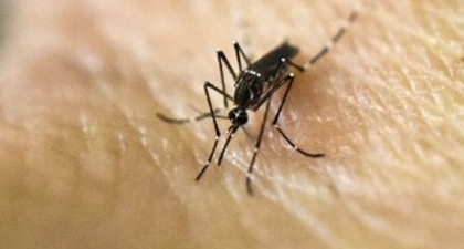 Ini Korban Pertama yang Terinfeksi Zika Lewat Seks