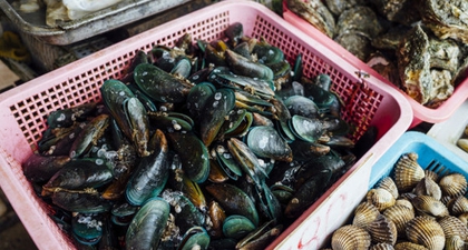 Amankah Ibu Hamil Makan Kerang? Ini Penjelasannya