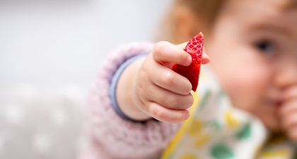 12 Ide Finger Food Mudah untuk Bayi