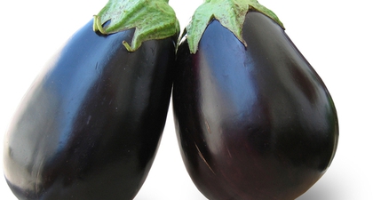 Manfaat Terung yang Tidak Anda Ketahui 