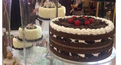 Cakes Wonderland untuk Pecinta Cake