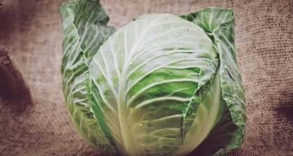 Yuk Sajikan Menu Sayuran Kubis, Moms, Ini Manfaatnya