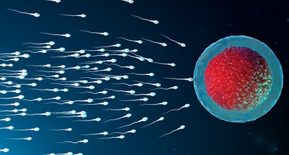 Alergi Sperma, Kondisi Langka yang Menghambat Kehamilan