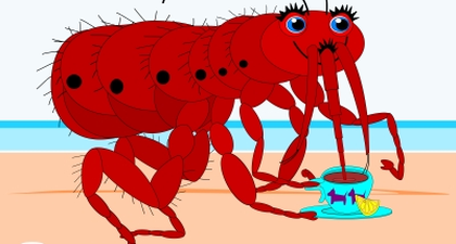 Ini Info Lengkap Mengenai Kutu Rambut