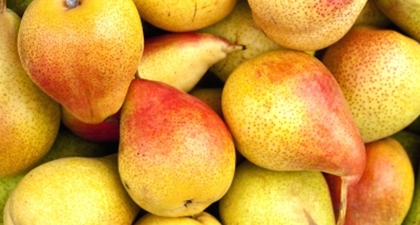 Makanan Terbaik Penurun Berat Badan