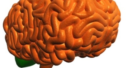 Cedera Otak, Penyebab Utama Epilepsi