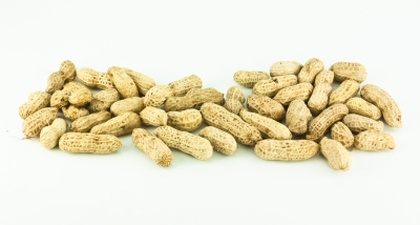 Kacang Cegah Alergi?