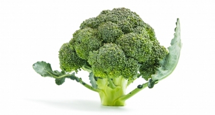 Ekstrak Brokoli & Gejala Autisme