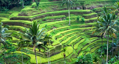 Babymoon yang Seru & Nyaman 