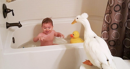 Lucunya Bayi Ini Bersahabat dengan Bebek! 