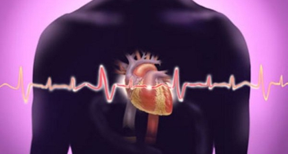 Hubungan Kalsium dan Penyakit Jantung