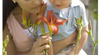 Ajari Si Kecil Menanam