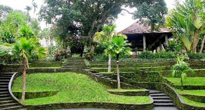 Tanah Ubud, Si 'Obat Penenang' 