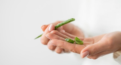 Obat Alami untuk Mengatasi Luka di Payudara dan Puting Lecet