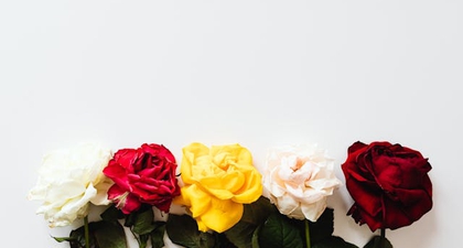 7 Arti Bunga Mawar Berdasarkan Warna, Mana yang Jadi Favorit Moms?