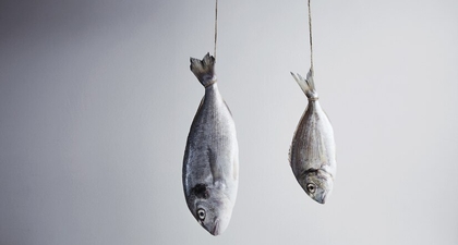 10 Makanan yang Mengandung Merkuri, Berbahaya bagi Kesehatan