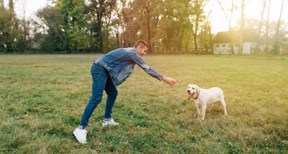 Mimpi Dikejar Anjing Tetapi Selamat, Ini Arti dan Maknanya
