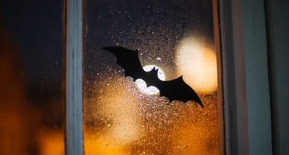 Arti Kelelawar Masuk ke Rumah, Pertanda Baik atau Buruk?