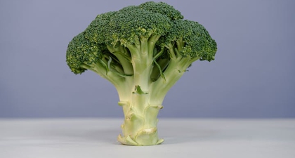 5 Tips Memilih Sayuran Organik Segar yang Kaya Gizi