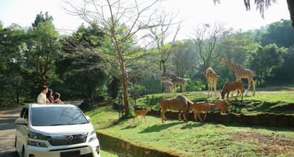 Taman Safari Indonesia Terpilih Menjadi Salah Satu Destinasi Wisata Terpopuler Indonesia 2024