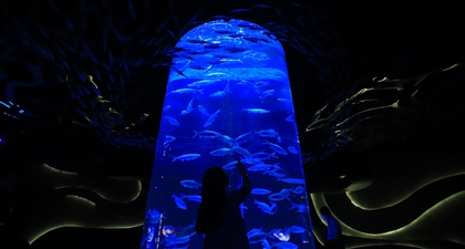 Rayakan Dirgahayu RI ke-79 dengan Pengalaman Unik: Menyanyi dan Panjat Pinang dalam Air