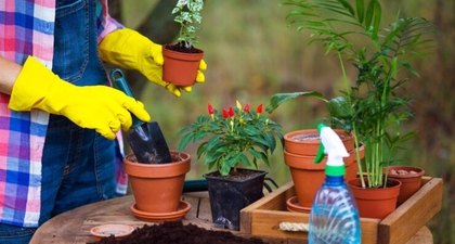 Ini Tips Kreatif Berkebun di Ruang Kecil