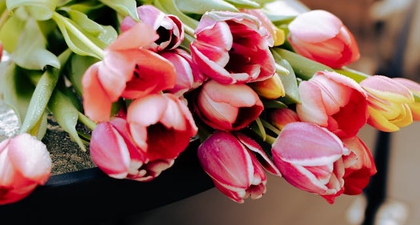 5 Arti Bunga Tulip Berdasarkan Warna, Bisa Melambangkan Cinta dan Kebahagiaan