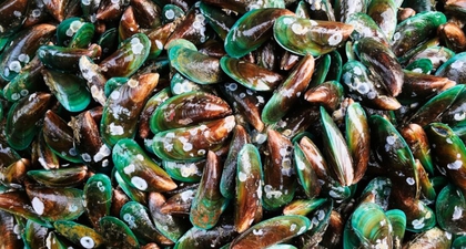 Apakah Ibu Hamil Boleh Makan Kerang Hijau? Ini Penjelasannya