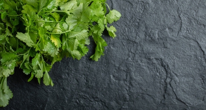 Bukan Cuma Bumbu Dapur, Ini Manfaat Daun Ketumbar untuk Kesehatan