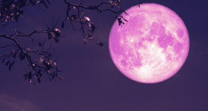 Apa Itu Pink Moon? Ini Penjelasan Ilmiah dan Dampaknya bagi Manusia