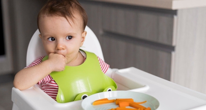 Panduan Baby Led Weaning Lengkap untuk Ibu Baru