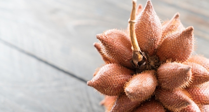 Apakah Ibu Hamil Boleh Makan Salak? Temukan Fakta dan Nutrisinya