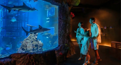 Marine Safari Bali, Tempat Rekreasi Sekaligus Edukasi Seluruh Keluarga