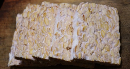 Ini Jenis Jamur yang Digunakan dalam Pembuatan Tempe