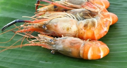 Konsumsi 'Seafood' saat Hamil