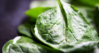 5 Manfaat Bayam untuk Kesehatan dan Kecantikan