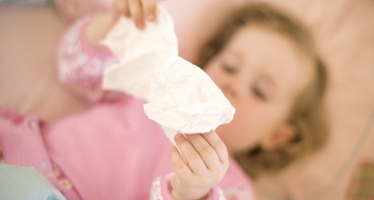 Bebas Flu dengan Rutin Mengonsumsi Jamur Shitake