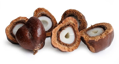 Mengenal Buah Zuriat dan Manfaatnya untuk Kehamilan